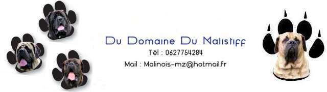 Du Domaine Du Malistiff